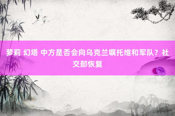 萝莉 幻塔 中方是否会向乌克兰嘱托维和军队？社交部恢复