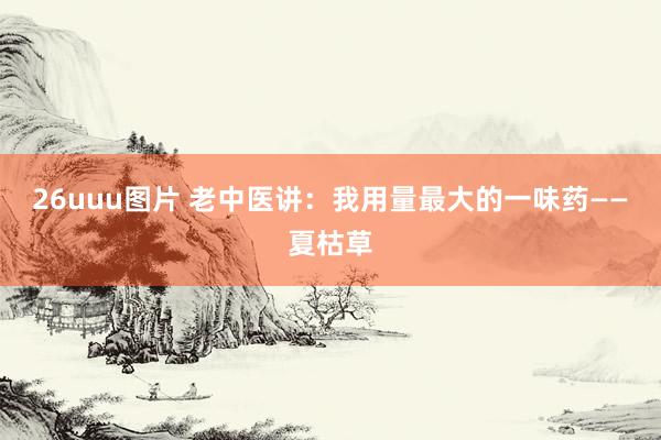 26uuu图片 老中医讲：我用量最大的一味药——夏枯草