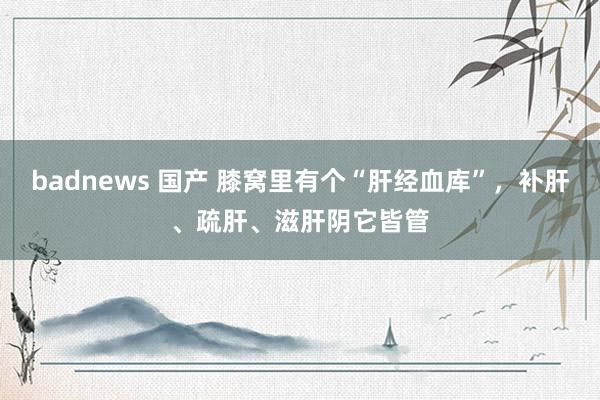 badnews 国产 膝窝里有个“肝经血库”，补肝、疏肝、滋肝阴它皆管